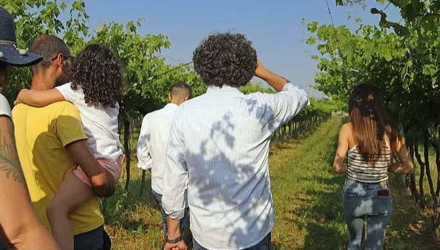 Biodynamic Farm Tour + Wine Tasting - Foto 5