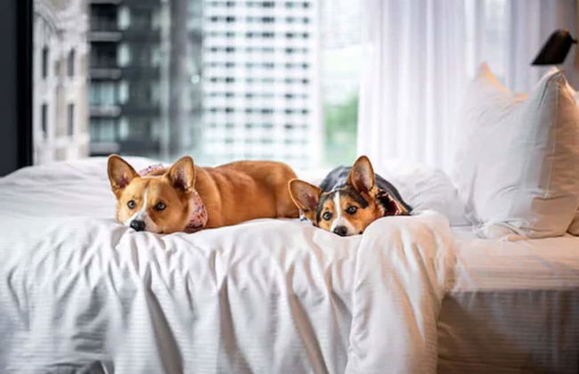 Hotel Monville - Foto 46