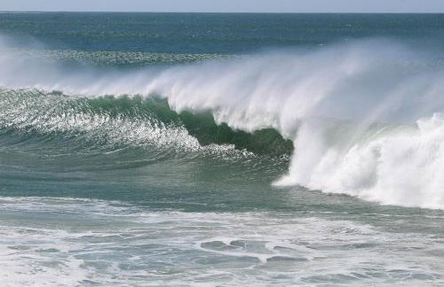 Deixe a energia fluir e contaminar suas férias. - Photo 72