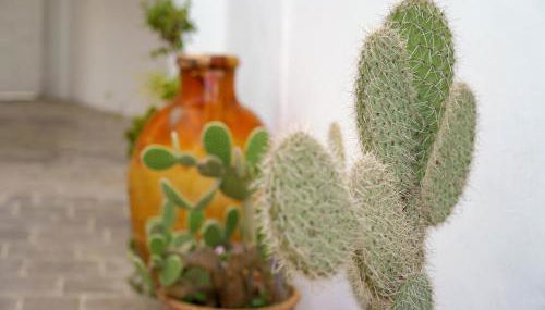 Corte delle rondini - Foto 2