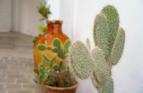 Corte delle rondini - Foto 2