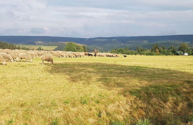 Apartment in Schnett Near the ski Area - Foto 23