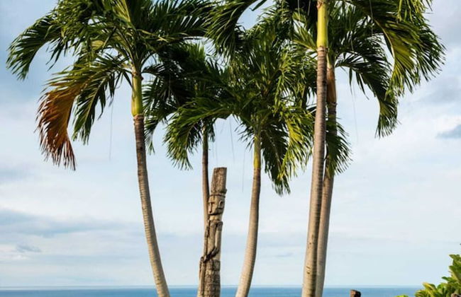 Palatial Wooden Villa, 4br, Lovina - Foto 80