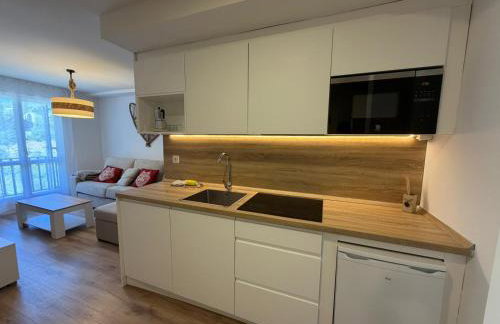 Apartamentos Leyre Candanchú - Foto 58