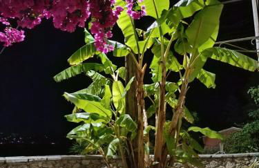 Aga's Seaview Cottages - Photo 22