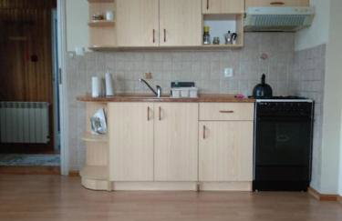 Dom z ogrodem w malowniczej okolicy Bieszczady - Foto 7