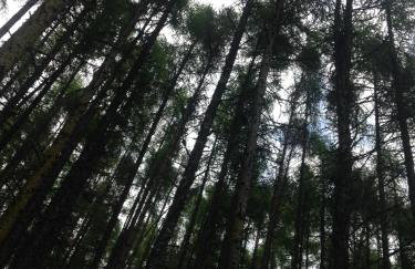 The Sheriffs Lodge - Photo 71