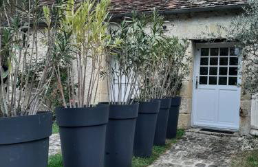 Gîte des châteaux de la Loire - Foto 6