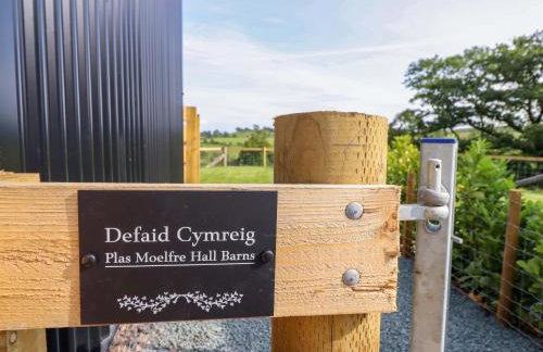 Defaid Cymreig - Foto 3