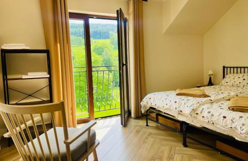 GÓRSKA CISZA - Duży, komfortowy, wyjątkowy Apartament - Foto 60