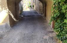 La salamandre - Foto 22