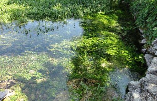 Water Spring - Foto 35