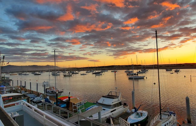 Gray's Inn & Gallery - Foto 56