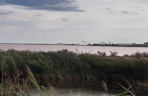 Maison camargaise - Photo 20