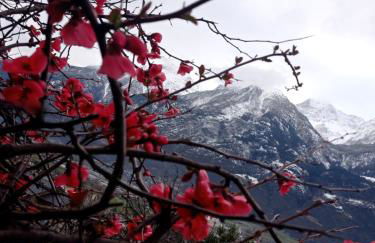 lo Tsanty casa vacanza - Foto 32