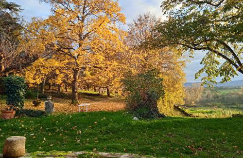 Maison calme avec piscine entourée de son parc - Foto 25