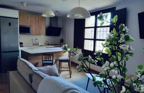 Apartamento Palacio de los Burgo - Foto 4