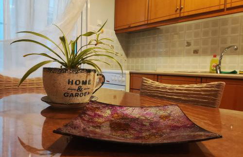 Άνετο διαμέρισμα στο κέντρο της πόλης - Foto 17