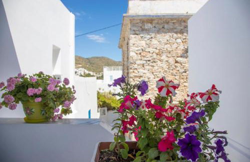 Pension Barbara - Foto 7