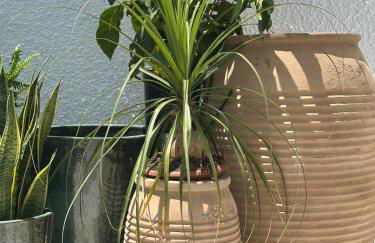 La pitera - ÁTICO DUPLEX ÚNICO EN ALTEA - Foto 25