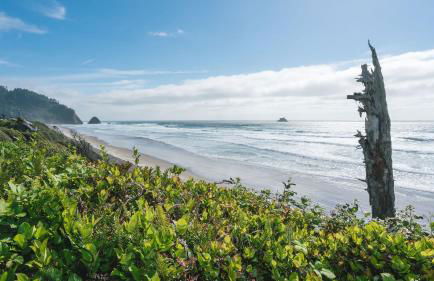 Arch Cape Escape by Avantstay Sensational Clift Top Home w/ Pacific Ocean Views - Foto 53