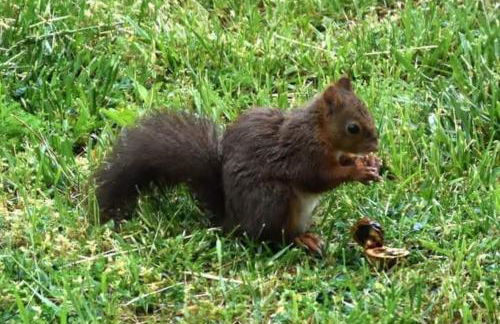 Gite La Grangette de Pauline - Foto 75