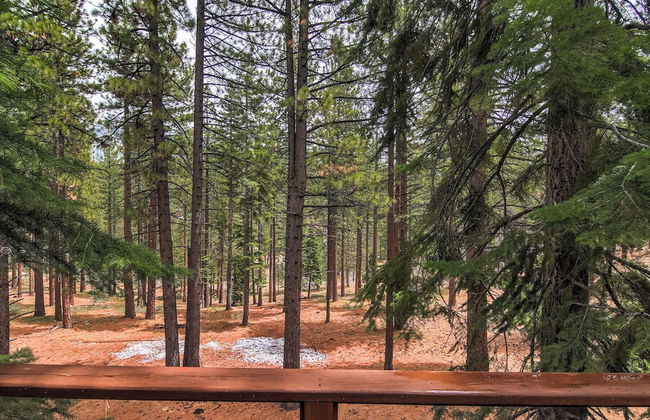 Bear Haus - Fur Babies Welcome! - Foto 34