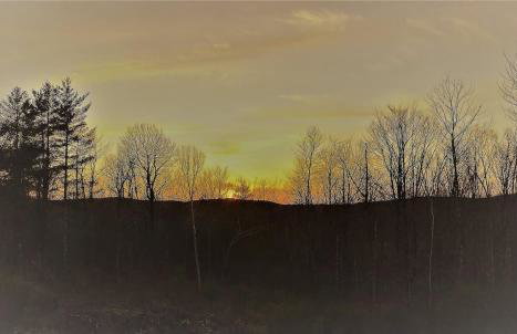 The Birches Cabin, at home in the woods! - Foto 6