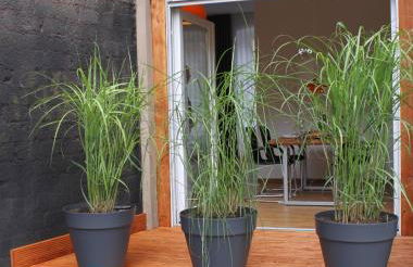 Moselloft Zeltingen-Rachtig - Foto 64