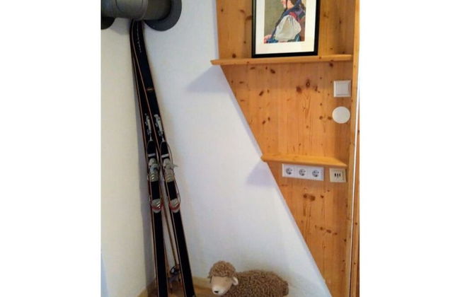 Pine Cones in the Haslehaus - Foto 27