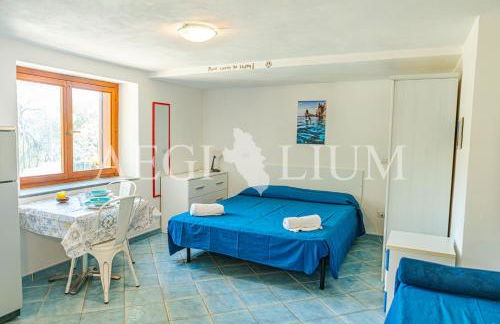 Giglio Felice - Foto 14