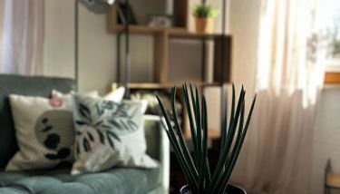 Fischbacher Waldidyll - Foto 4