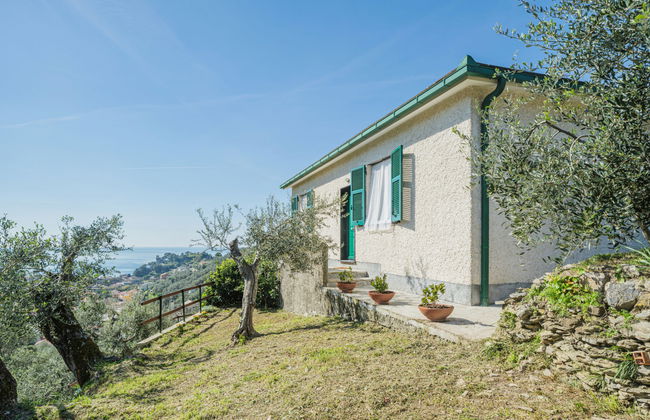 Sorvegallo - Foto 27