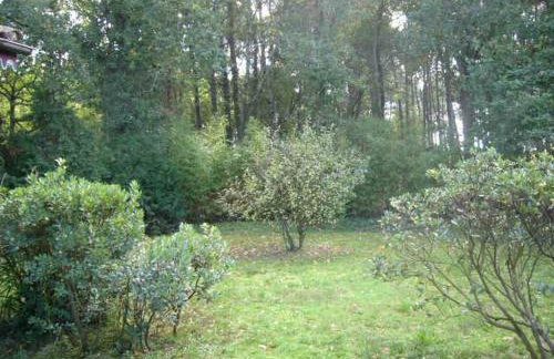 villa les Arbousiers - Photo 4