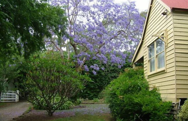 Hermitage Cottage - Photo 13