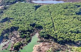 Villa Pavone - Foto 54