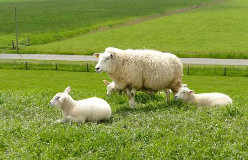 Ferienwohnung für 2 Personen Wellness & Radverleih - Photo 27