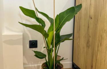 Le Petit Bois, perle de Champagnole - Foto 10