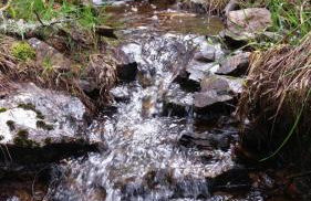 La Pérgola Internet Fibra Garage Calefacción TV - Foto 31