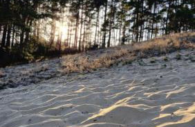 Stodoła HOME&CHILL - Foto 79