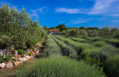 Officinalis - Family Vacation House - Photo 30