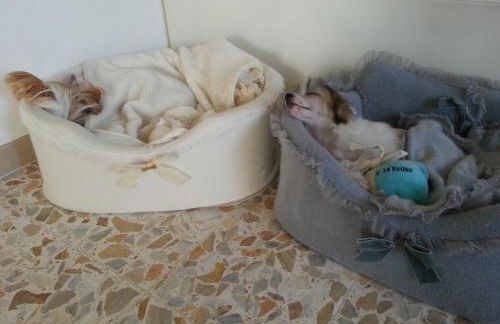 Villa Celeste - Foto 80