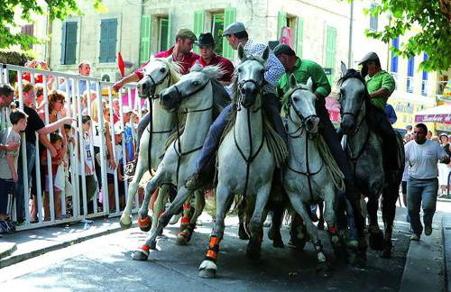 Un Petit Coin de Provence - Istres - Maison Contemporaine Avec Piscine Privée Chauffée, Entre Plages Et Provence, Borne 11 kW - Foto 65