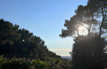 La Farigoule - Sainte-Victoire - Vue exceptionnelle sur Aix-en-Provence - Foto 17