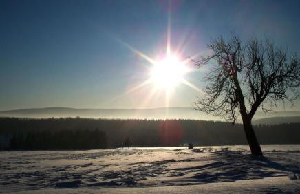 Ferienwohnung Erzgebirgswohnung Götze - Foto 48