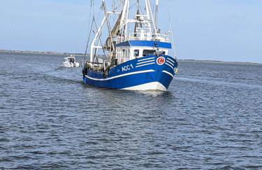 Drei-Insel-Blick Neßmersiel - Foto 30