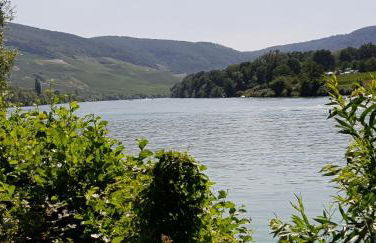 Apartment an der Mosel 1 - Foto 50