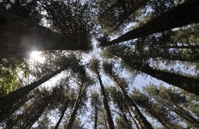 La Casa di Chiaretta - Foto 18