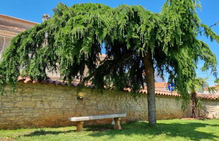 Villa Dina - Foto 10