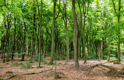 Villa Ferialis - Foto 29